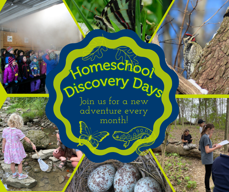 A series of images of children and nature are overlaid with the words "Homeschool Discovery Days- Join us for a new adventure every month!"